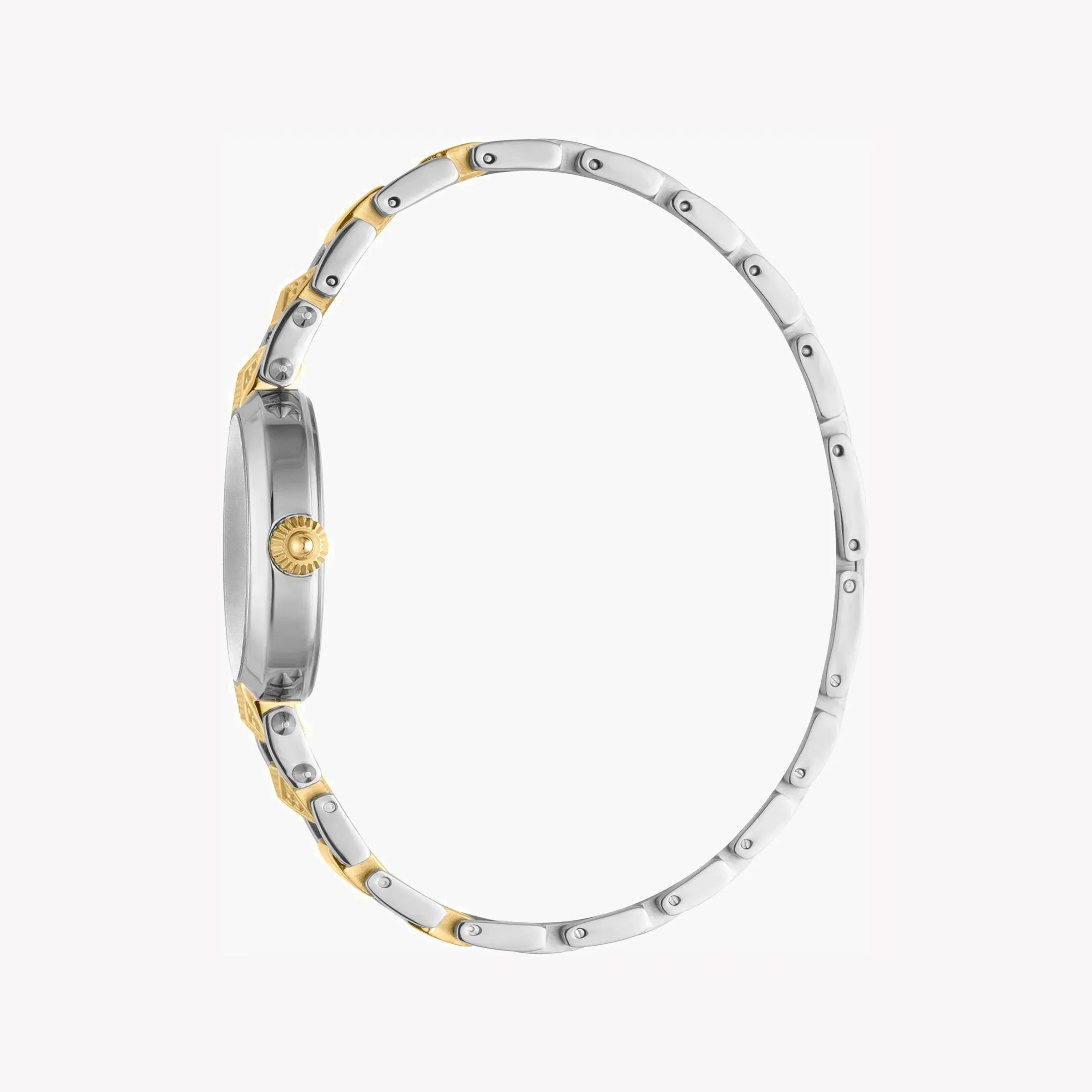 Just Cavalli Stainless Steel Analog Women's Watch JC1L076M0105